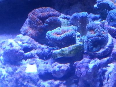 20160328_152733[2].jpg