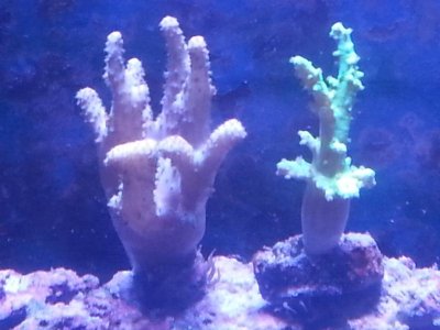 20160328_152618(0)[1].jpg
