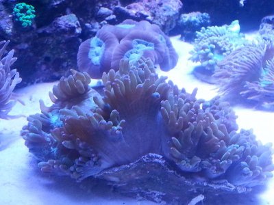 20160328_152549[1].jpg