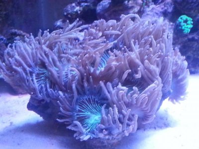 20160328_152544[1].jpg