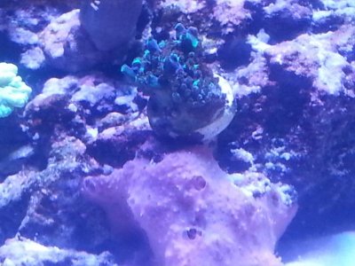 20160328_152529[1].jpg