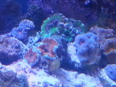 20160328_152523[1].jpg