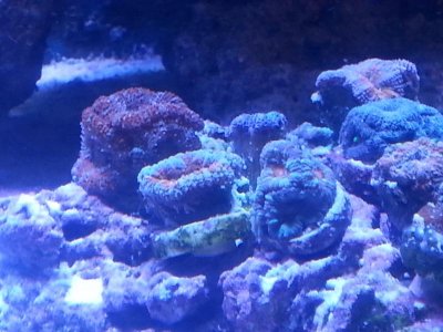 20160328_152515[1].jpg