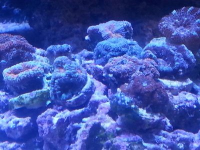 20160328_152512[1].jpg