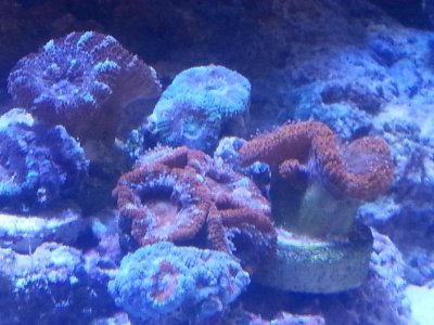 20160328_152509[1].jpg