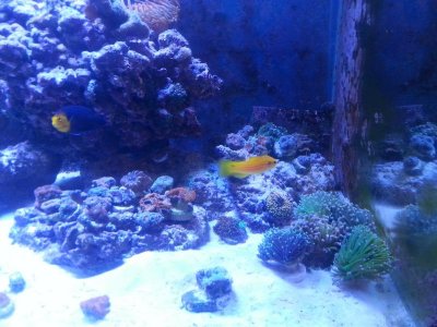20160328_152450[1].jpg