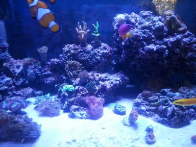 20160328_152443[1].jpg