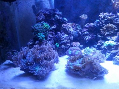 20160328_152436[1].jpg