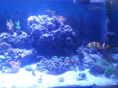 20160327_145655[1].jpg