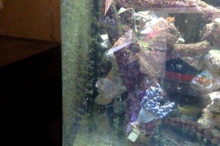 Photo on 3-29-16 at 12.16 PM.jpg