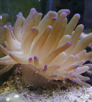 2016-03-30 18.15.23-600x661.jpg