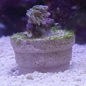 2016-03-31 16.44.40.jpg