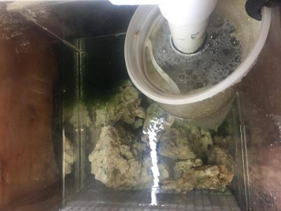 refugium from above.jpg