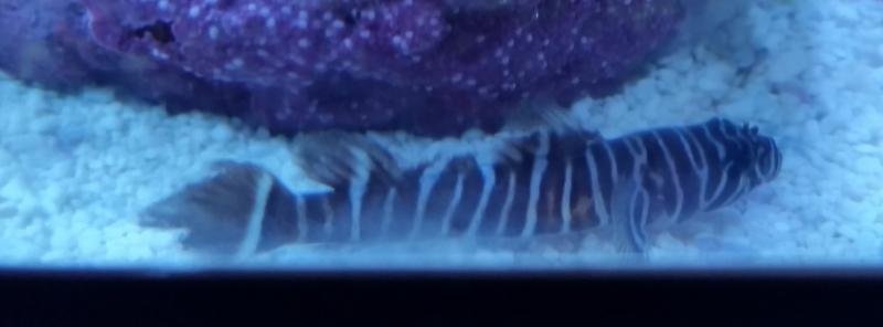 20160421_204817 (1).jpg