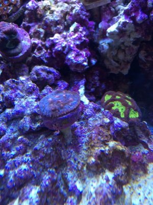 IMG_3465.jpg