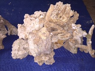 IMG_1732.JPG