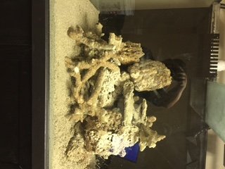 IMG_1740.JPG
