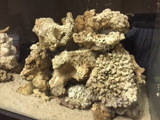 IMG_1742.JPG