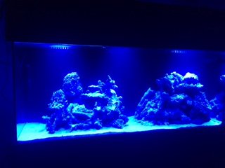 IMG_1748.JPG