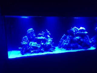 IMG_1749.JPG