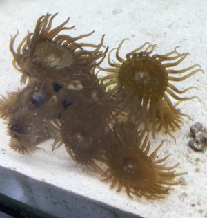 IMG_1329 [135461].jpg