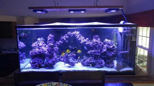 20160426_163451v2.jpg