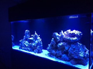 IMG_1788.JPG