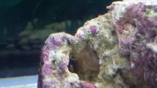 20160426_181245.jpg