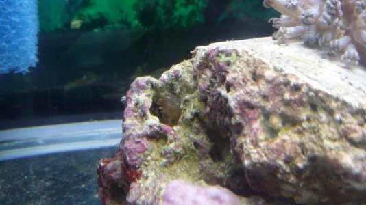 20160426_230006.jpg