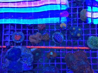 IMG_1862.JPG
