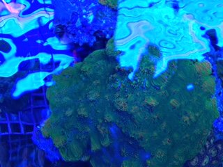 IMG_1866.JPG