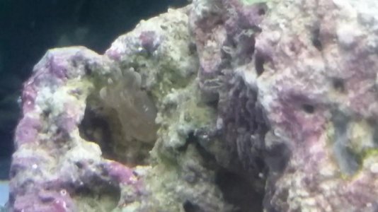 20160427_221113.jpg