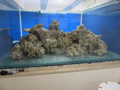 IMG_1131.JPG
