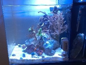 telerik_edited_image(38).jpg