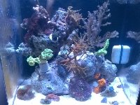 telerik_edited_image(42).jpg