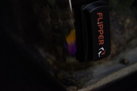 LRG__DSC7907.jpg LRG__DSC7907.jpg