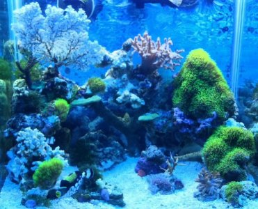 2016-04-02 21.55.03.jpg