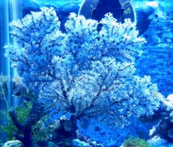 2016-04-02 21.47.52.jpg