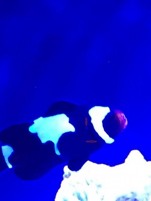 IMG_1578 - arrows.jpg