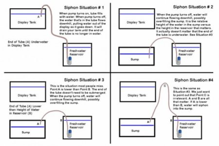 Siphon-Situations-688x459.jpg