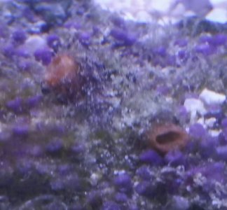 2016-04-29 16.09.58.jpg