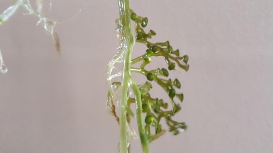 20160403_135000.jpg