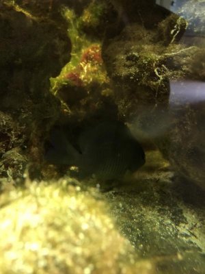 IMG_0166.jpg