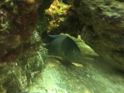 IMG_0107.jpg