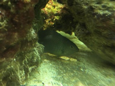 IMG_0108.jpg