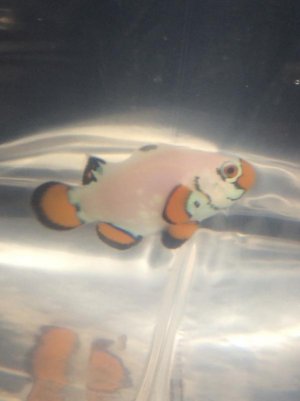 FullSizeRender 5.jpg