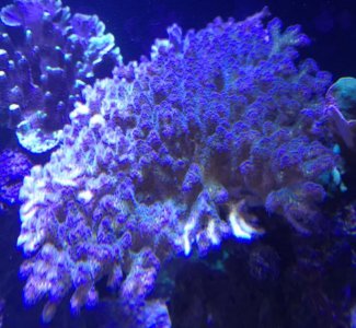 IMG_3697.jpg