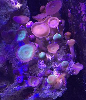 IMG_3905.jpg