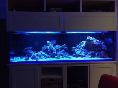 FTS-01-may-2016.jpg