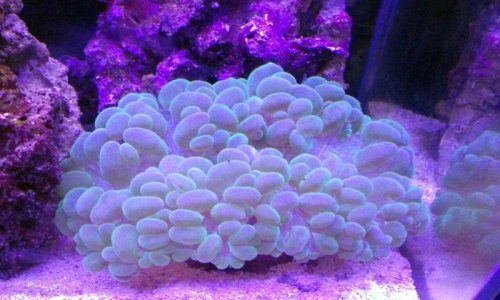 20160501_220721[1].jpg